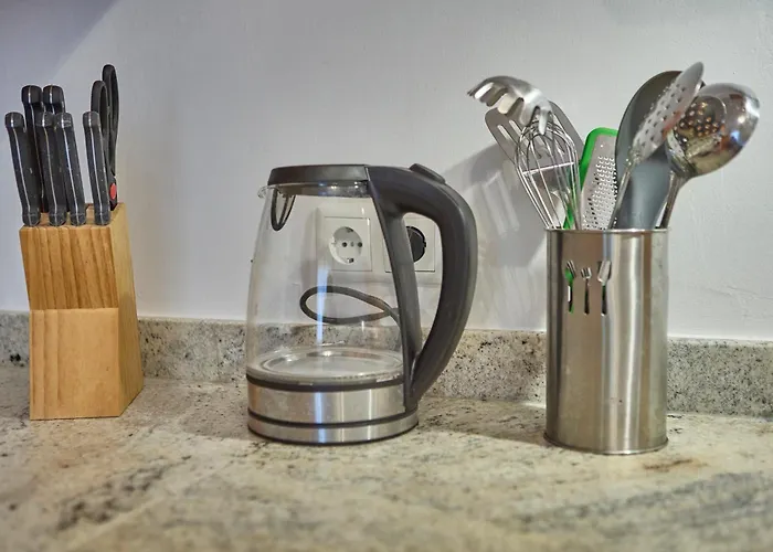 Haus Erni 巴特奥塞